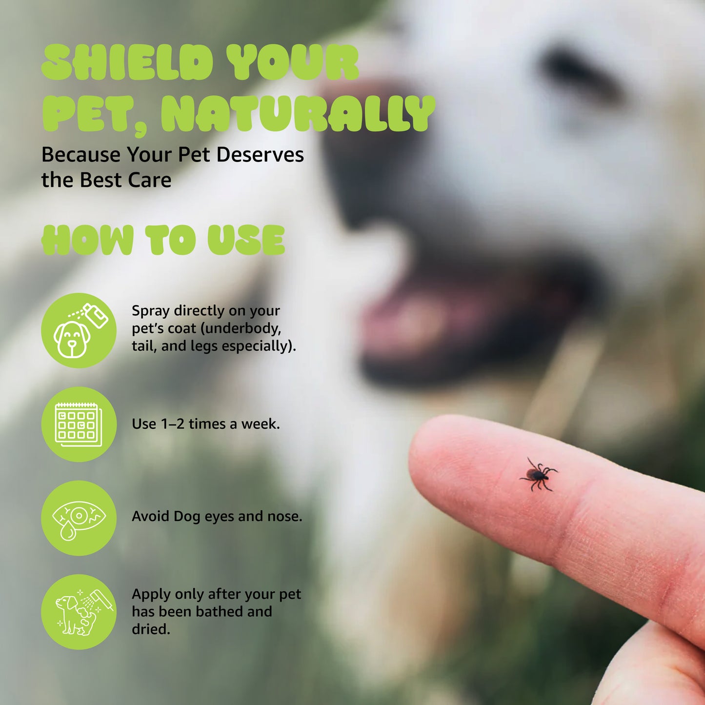 Tails on Trails, Anti-Tick & Flea Body Spray for Dogs, Cats & Puppies | Kills Ticks & Fleas | Relieves Itching, Scratching & Irritation | Daily Use, Chemical-Free for All Breeds, 200 ml