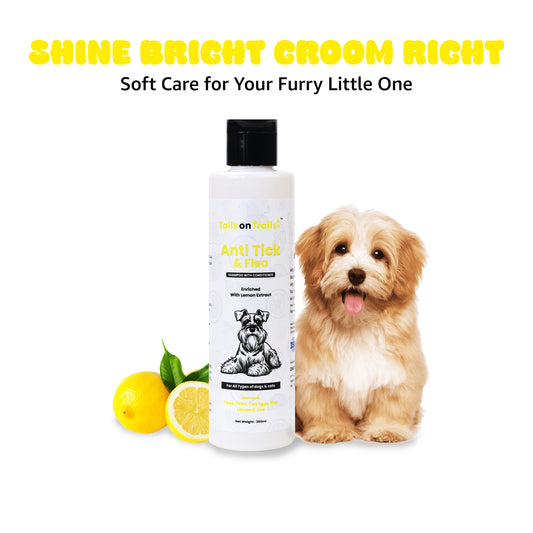 Tails on Trails Anti-Tick & Flea Dog Shampoo With Conditioner 200ml | Enriched with Lemon Extract, Anti-Fungal, Anti-Itching Formula, pH Balanced, Healthy Skin | Suitiable for All Types of Dogs & Cats