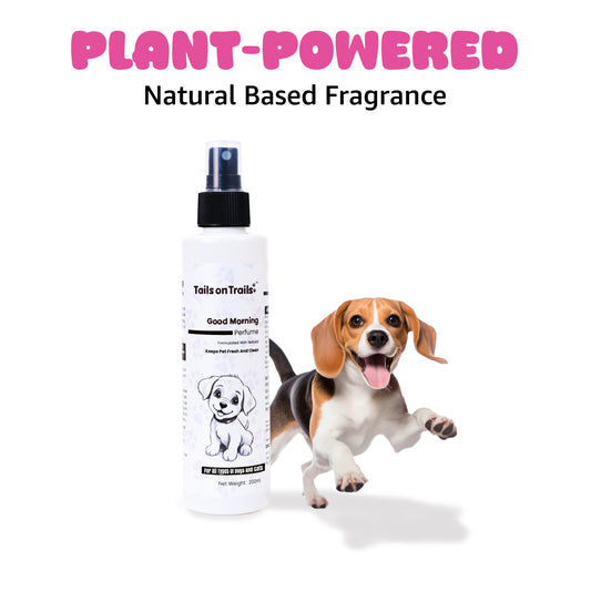 Tails on Trails Good Morning Perfume Spray - 200 ml | Long Lasting Natural Deodorizer for Dogs | Grooming Essential | for All Types of Dogs & Cats