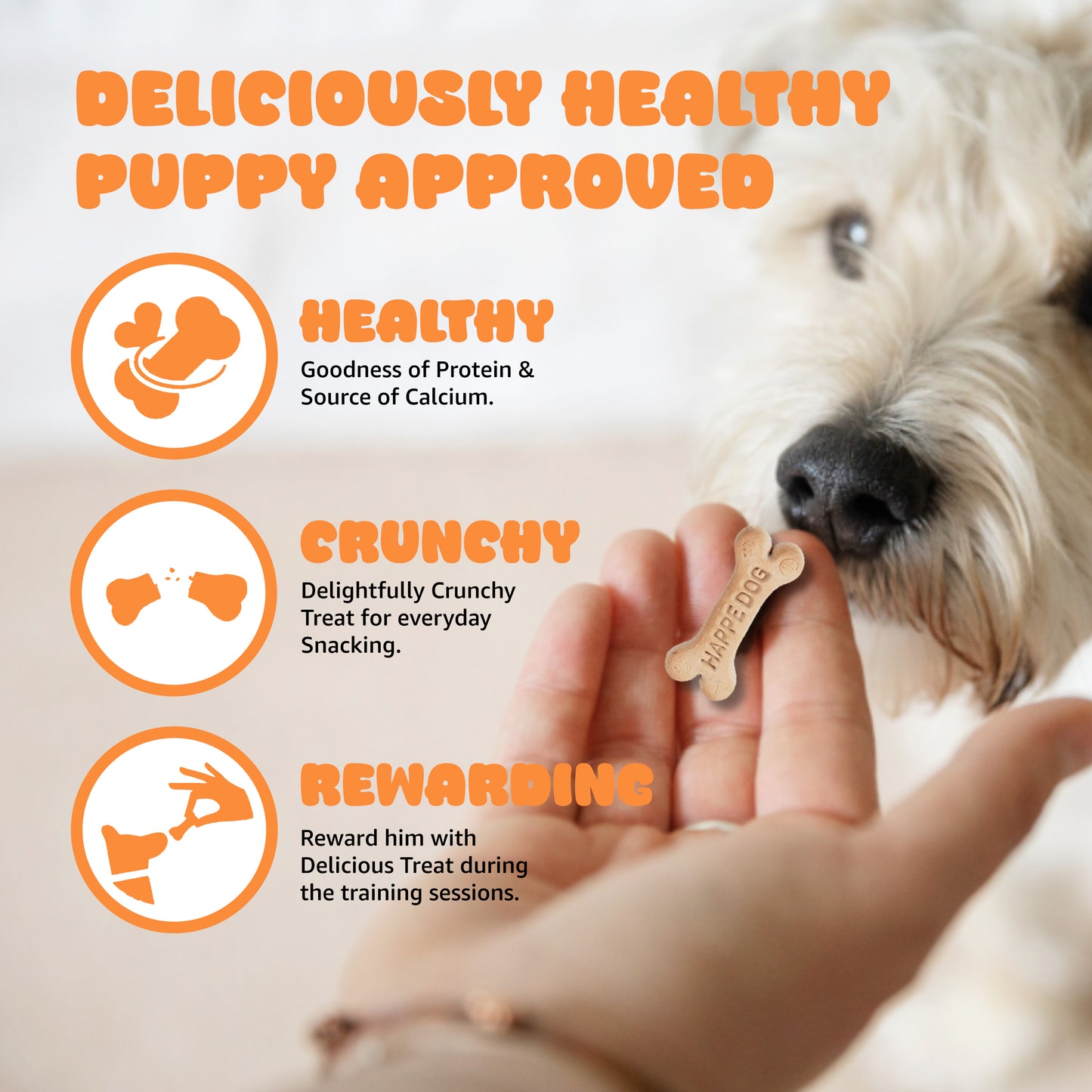Tails on trails Homemade Real Chicken Dog Biscuits for Puppy I Chicken Flavour,Supports Digestion & Immunity | 100% Natural | 500g Pack