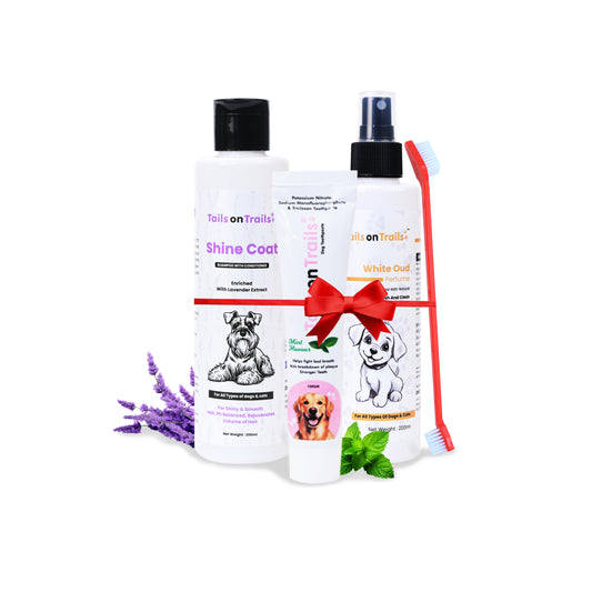 Tails on Trails Pet Grooming Kit, Shine Coat Shampoo 200ml + Toothpaste 100g + White Oud Perfume 200ml + Set of Toothbrush Combo Pack Suitable for All Types of Dogs & Cats