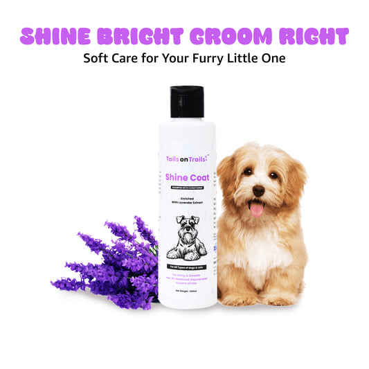 Tails on Trails Shine Coat Shampoo for Shiny & Smooth Hair | Ph Balanced Rejuvenates Volum of Hair 200ml | Enriched with Lavender Extract | Shampoo with Conditioner | for All Types of Dogs & Cats