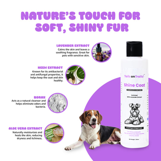 Tails on Trails Shine Coat Shampoo for Shiny & Smooth Hair | Ph Balanced Rejuvenates Volum of Hair 200ml | Enriched with Lavender Extract | Shampoo with Conditioner | for All Types of Dogs & Cats