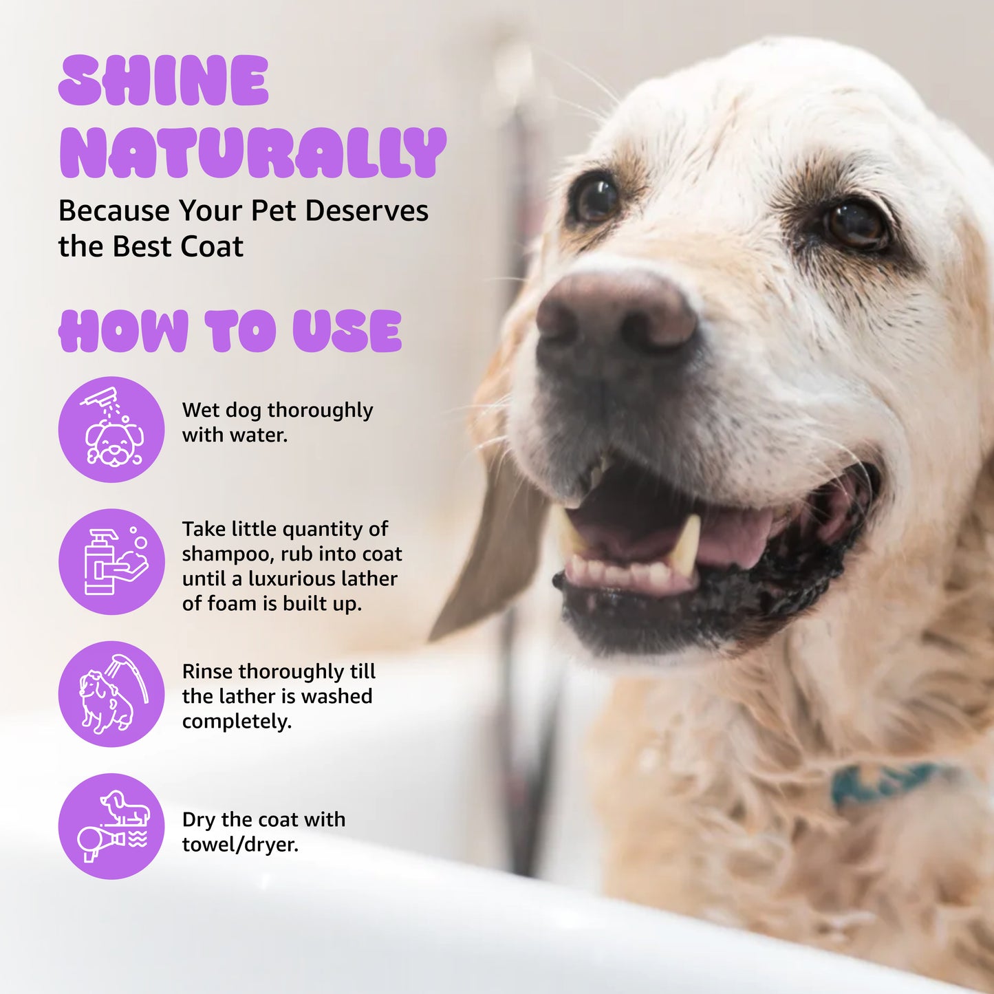 Tails on Trails Shine Coat Shampoo for Shiny & Smooth Hair | Ph Balanced Rejuvenates Volum of Hair 200ml | Enriched with Lavender Extract | Shampoo with Conditioner | for All Types of Dogs & Cats