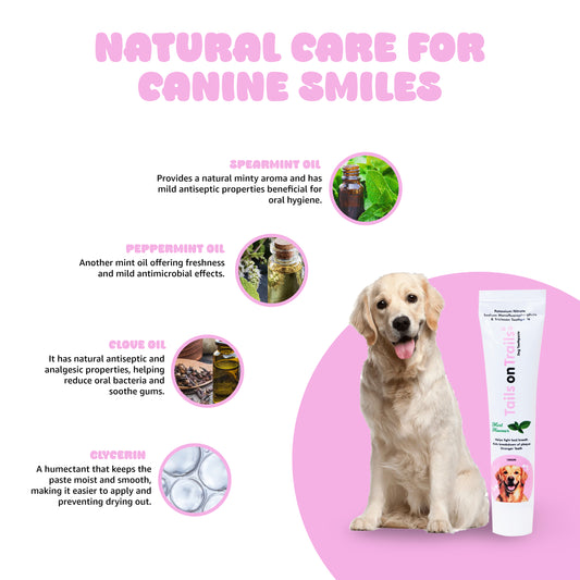 Tails on Trails Dog Toothpaste (100g) Dog Tooth Paste for Fresh Breath & Clean Teeth | Helps Remove Plaque, Tartar and Odor for Daily Oral Care