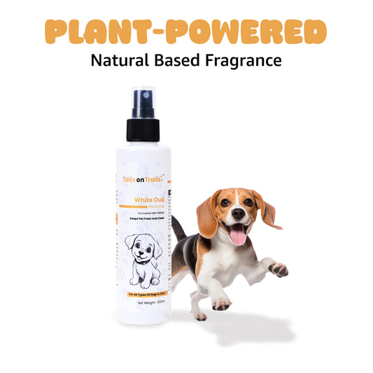 Tails on Trails White Oud Perfume Spray - 200 ml | Long Lasting Natural Deodorizer for Dogs | Grooming Essential | Perfume for All Types of Dogs & Cats