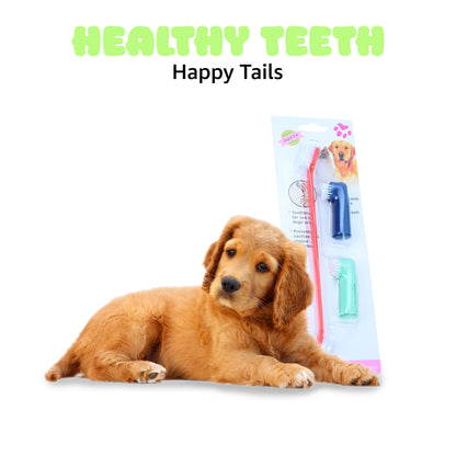 Tails on Trails 5-in-1 Pet Complete Grooming Kit | Antitick Shampoo 200ml + Good Morning Perfume 200ml + Paw Cream 100g + Toothbrush Set + 1 Palm Glove Combo Pack with Natural Ingredients