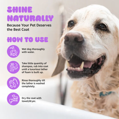 Tails on Trails Shine Coat Shampoo for Shiny & Smooth Hair | Ph Balanced Rejuvenates Volum of Hair 200ml | Enriched with Lavender Extract | Shampoo with Conditioner | for All Types of Dogs & Cats